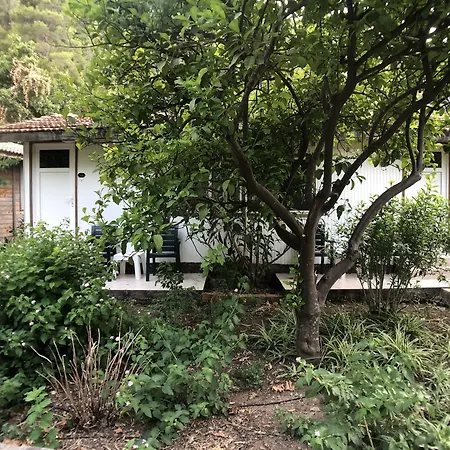 Garden Guest house 2*