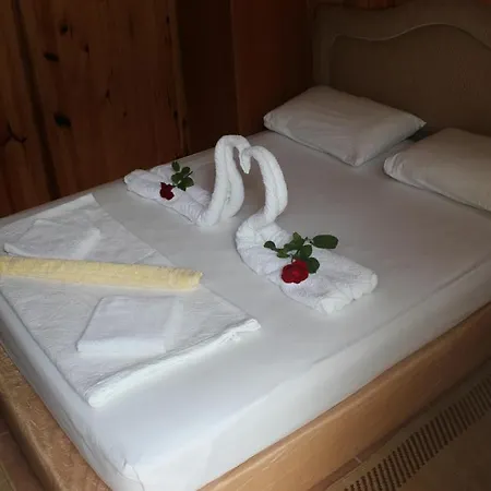 Guest house Garden 2*