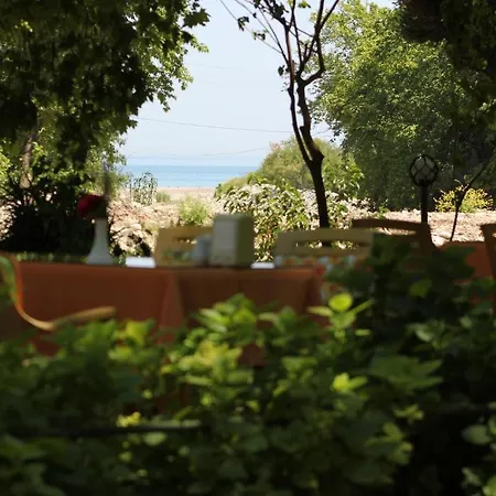 Garden Guest house 2*