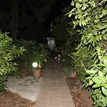 Garden 2*