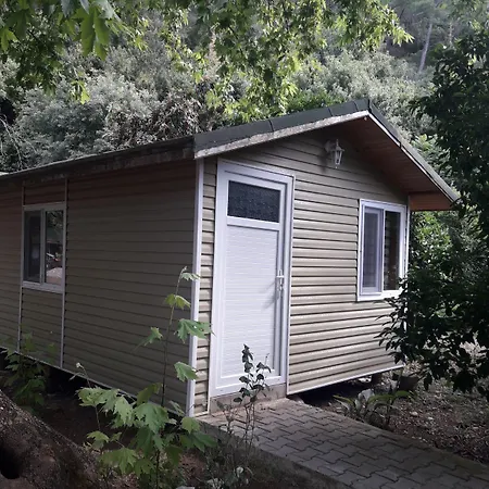 Garden 2* Çıralı
