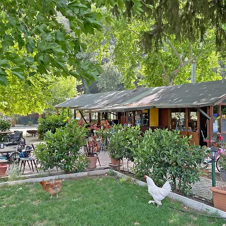 Pensjonat Garden Çıralı