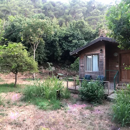 Garden Pensjonat