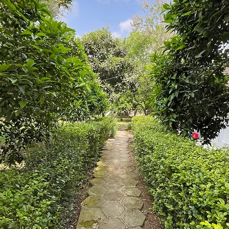 Garden Çıralı