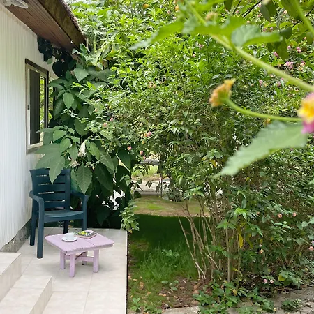 Garden 2*