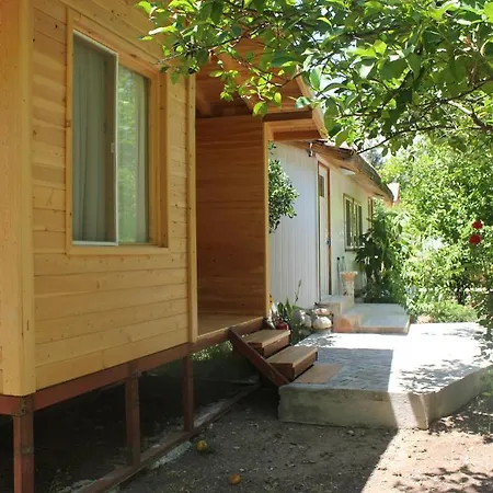 Garden 2* Çıralı