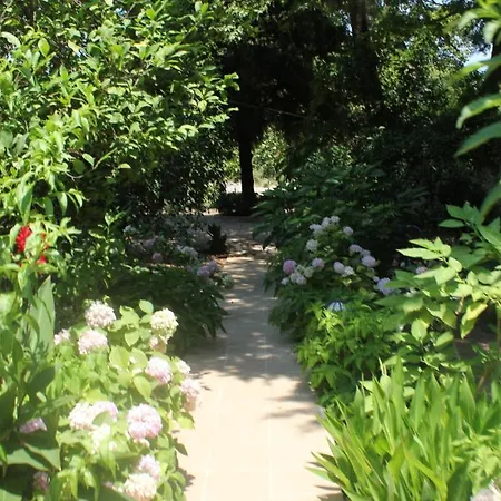 Garden 2* Çıralı