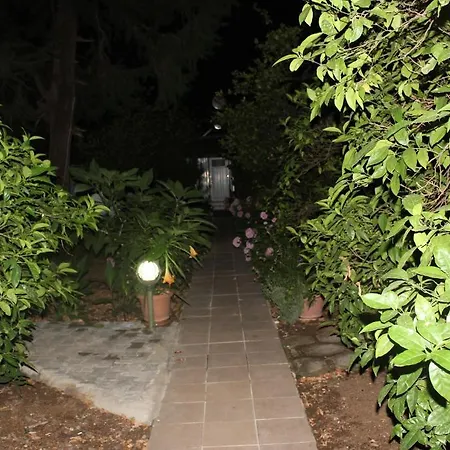 Garden 2*