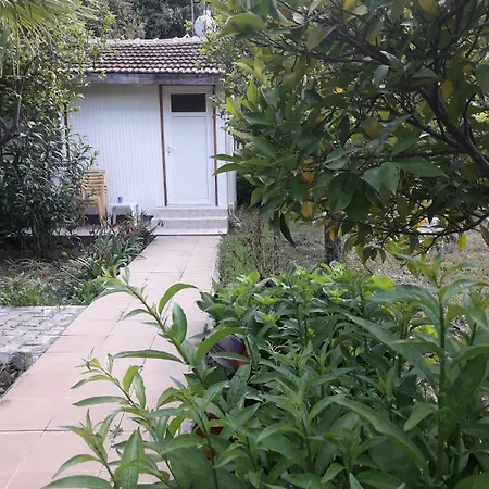 Konukevi Garden 2*