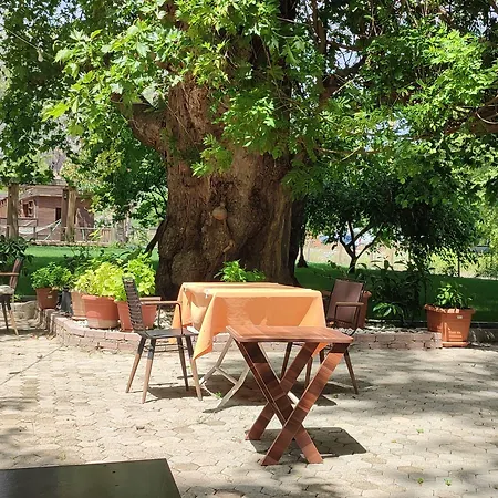 Garden 2* Çıralı