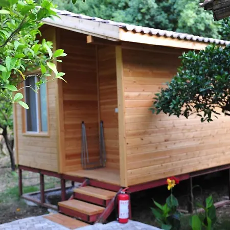 Garden 2*