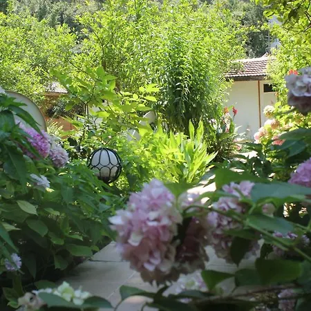 Konukevi Garden